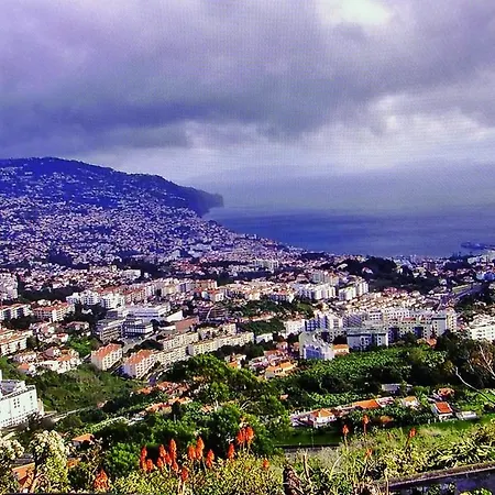 - The Historical Center Of In Local