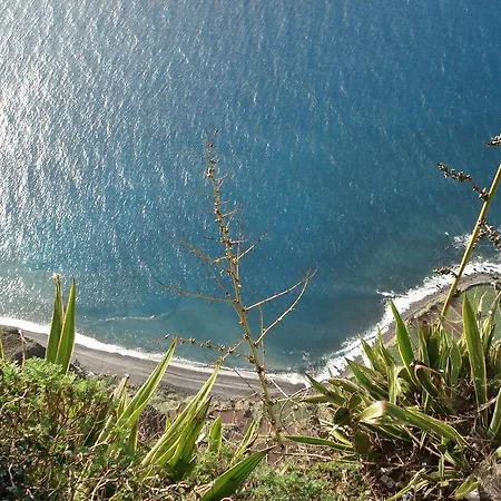 - The Historical Center Of In Local * Funchal (Madeira)