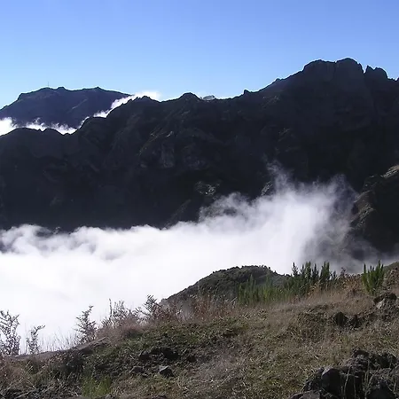 - The Historical Center Of In Local *