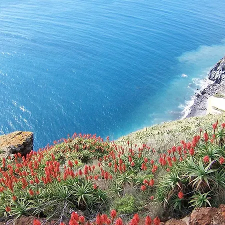 - The Historical Center Of In Local Apartmán *