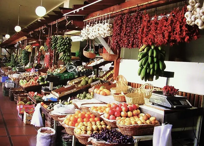 - The Historical Center Of In Local Appartement Funchal (Madeira)