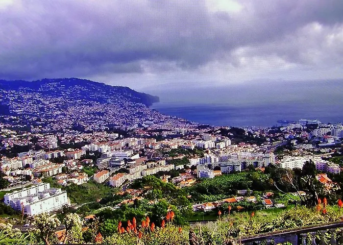 - The Historical Center Of In Local