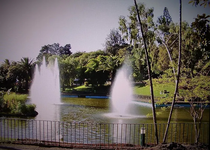 - The Historical Center Of In Local