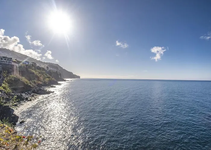 - The Historical Center Of In Local