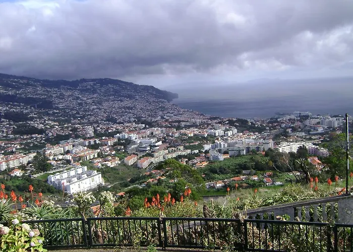 - The Historical Center Of In Local Funchal (Madeira)