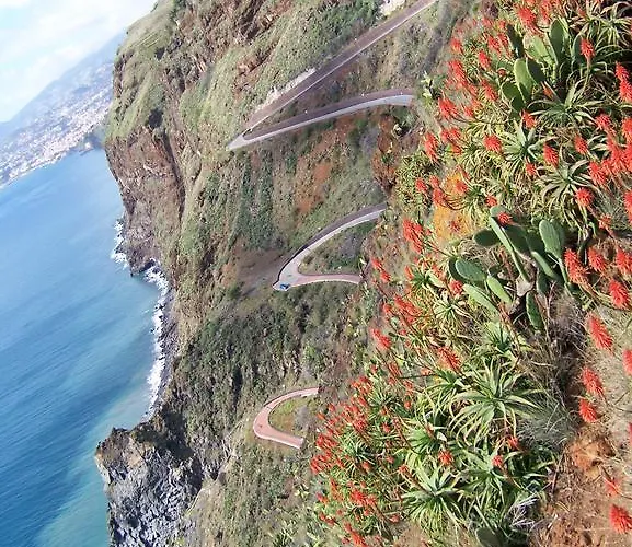 - The Historical Center Of In Local Appartement