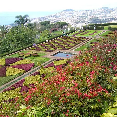 - The Historical Center Of In Local *