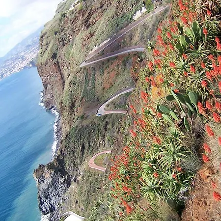 - The Historical Center Of In Local Apartmán