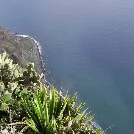 - The Historical Center Of In Local *