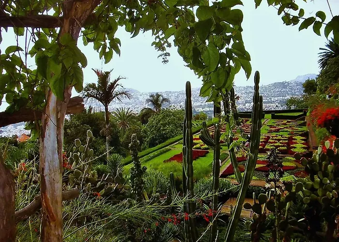 - The Historical Center Of In Local