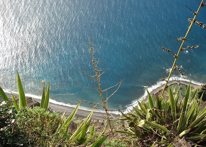 - The Historical Center Of In Local * Funchal (Madeira)