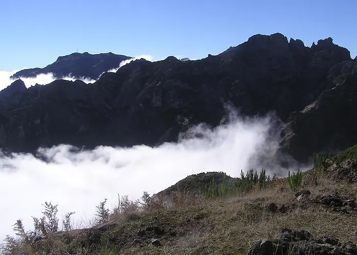 - The Historical Center Of In Local *