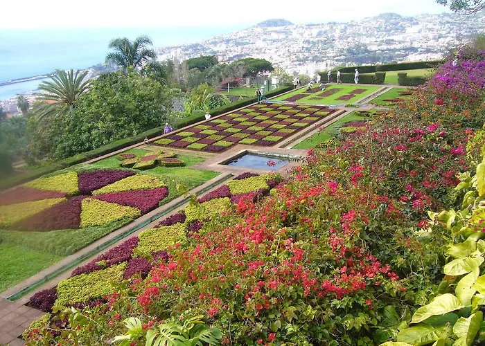 - The Historical Center Of In Local *