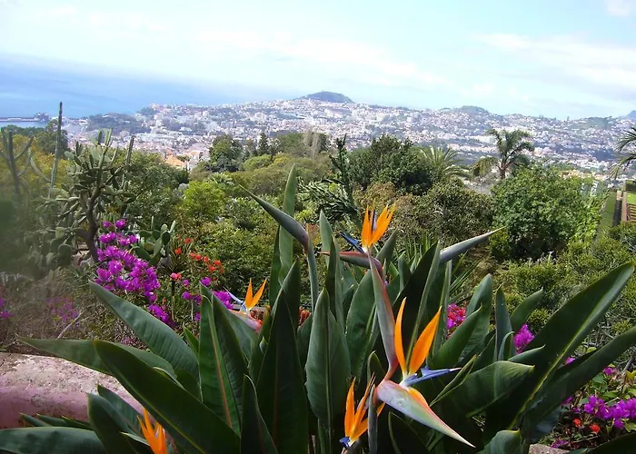 Apartment - The Historical Center Of In Local