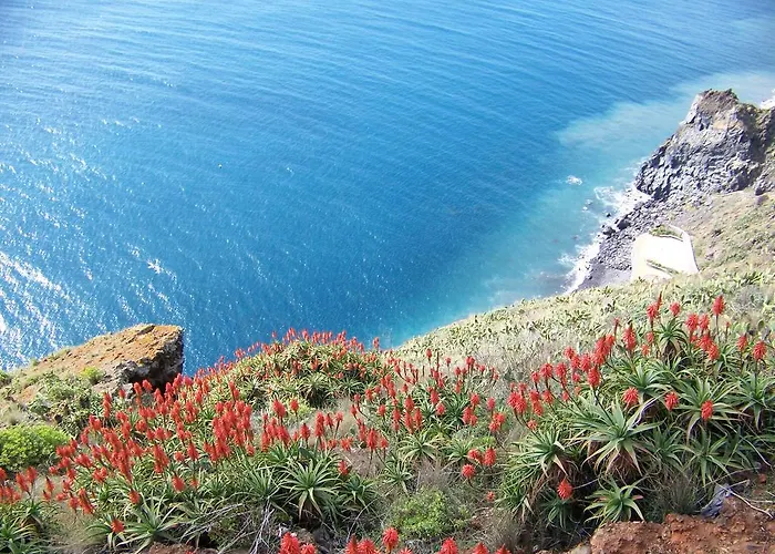 - The Historical Center Of In Local Apartment *