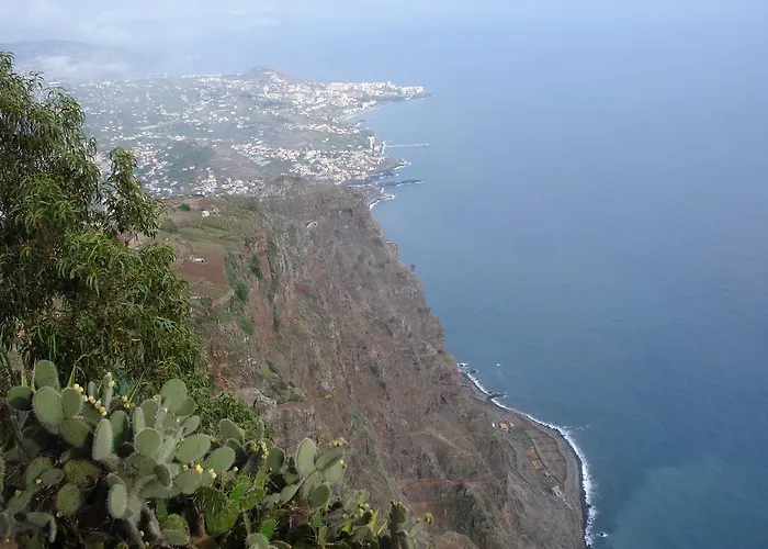 Apartment - The Historical Center Of In Local Funchal (Madeira)