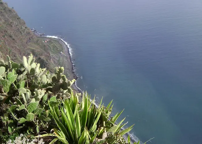 - The Historical Center Of In Local *