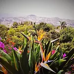 - The Historical Center Of In Local Appartamento Funchal (Madeira)