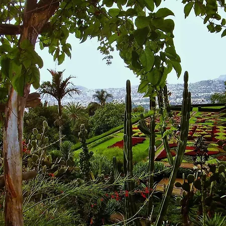 - The Historical Center Of In Local