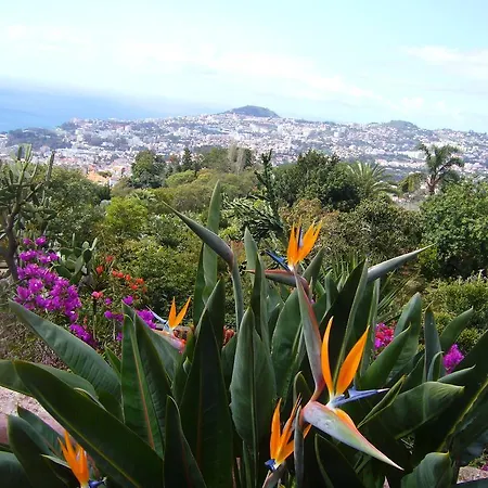 Apartman - The Historical Center Of In Local